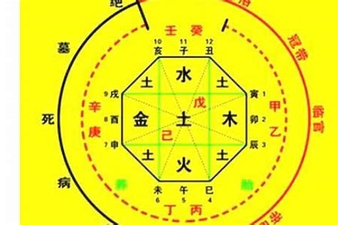 命主八字|生辰八字算命、五行喜用神查詢（免費測算）